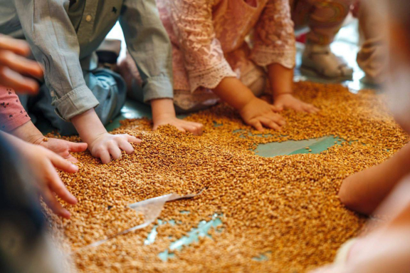 Сенсорный день