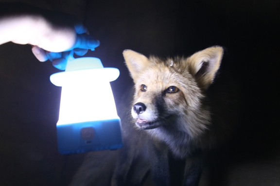 &Ncy;&ocy;&chcy;&ncy;&ocy;&jcy; &zcy;&ocy;&ocy;&pcy;&acy;&rcy;&kcy;