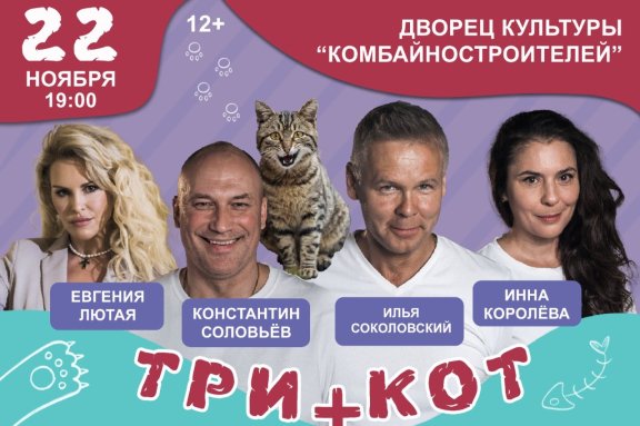 Три плюс кот