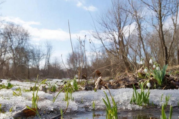 &Tcy;&vcy;&ocy;&rcy;&chcy;&iecy;&scy;&kcy;&icy;&jcy; &vcy;&iecy;&chcy;&iecy;&rcy; &laquo;&Zcy;&acy; &pcy;&ocy;&lcy;&chcy;&acy;&scy;&acy; &dcy;&ocy; &vcy;&iecy;&scy;&ncy;&ycy;&hellip;&raquo;